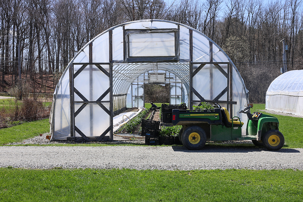 looking into a garden hoophouse with person at far end working on plants, and a small farm vehicle parked outside