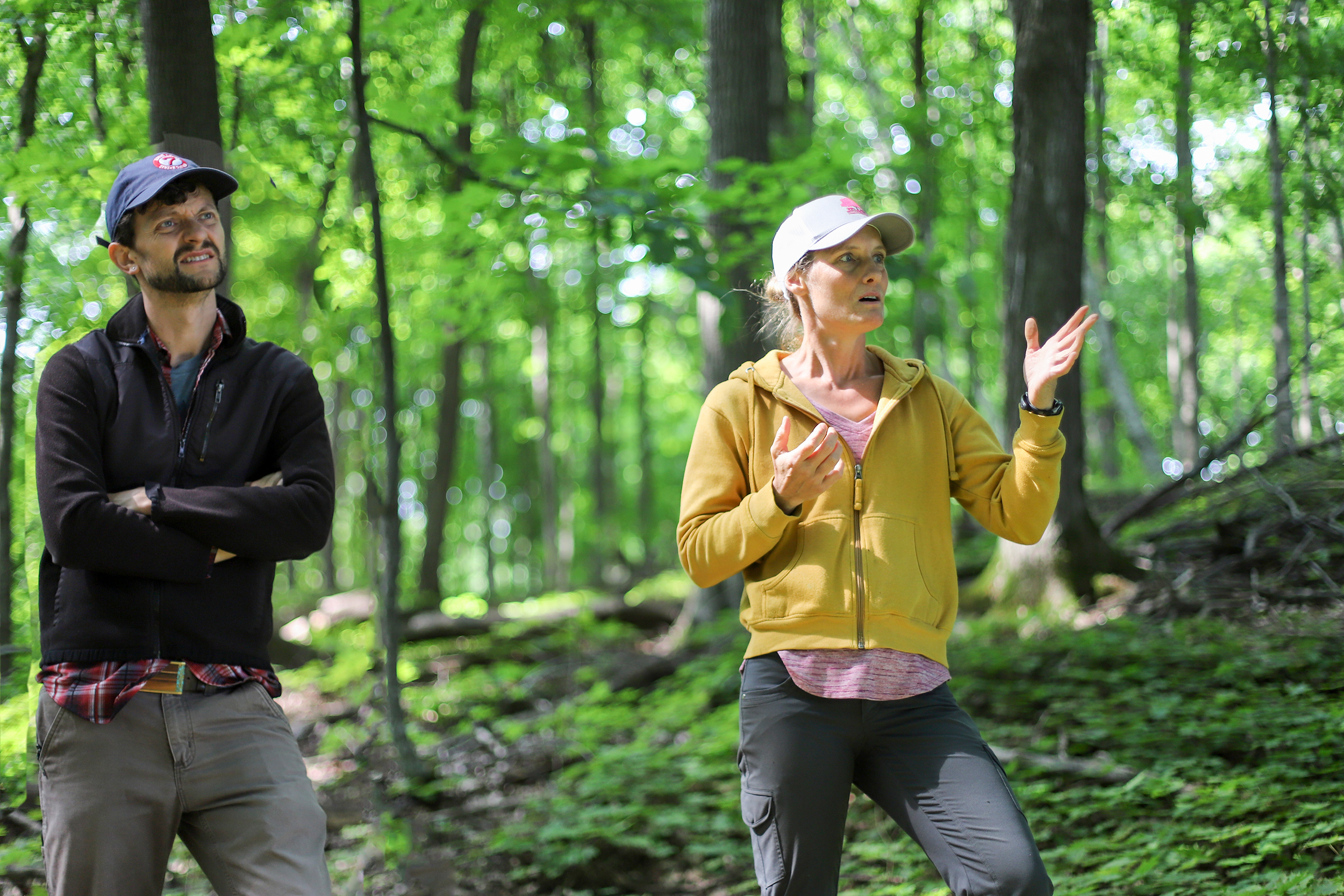 Man and woman in sun-dappled forest talking and looking at the trees.