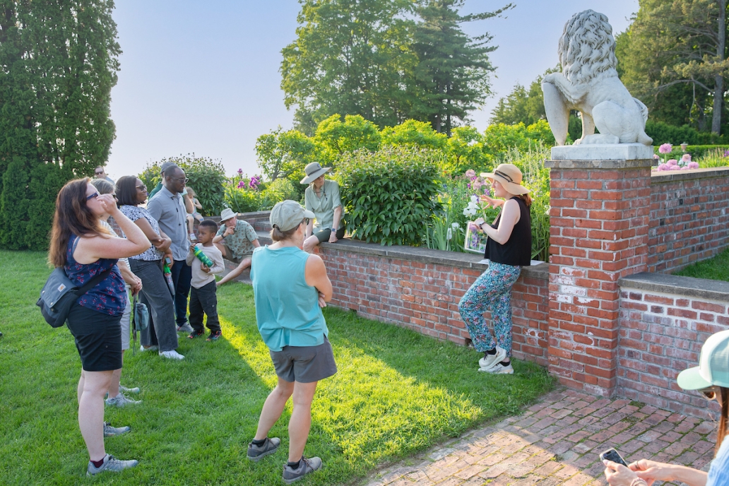 Pollinator safari at formal gardens
