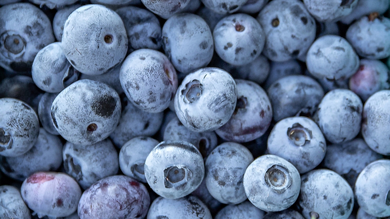 a close up of fresh blueberries