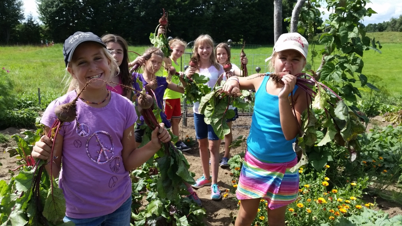 A group of kids harvest beets from a garden