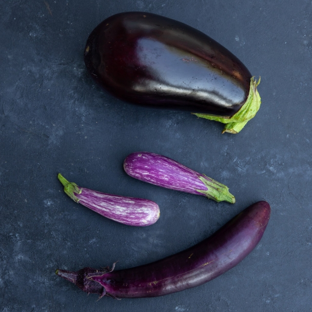 A variety of eggplants on a slate background
