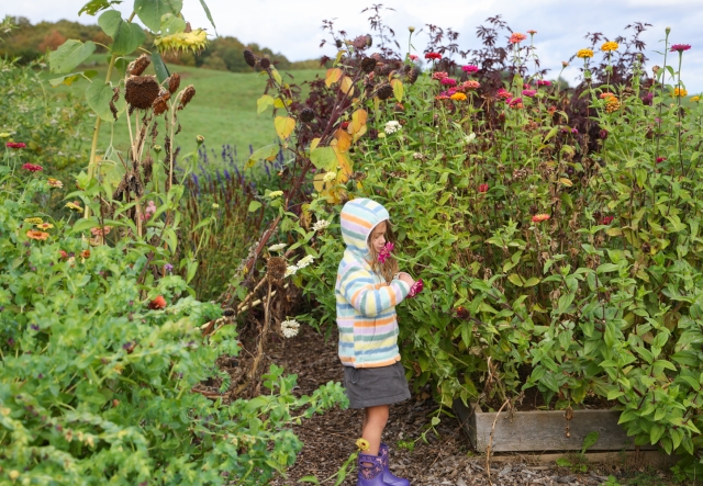 a child stands in a garden smelling a flower