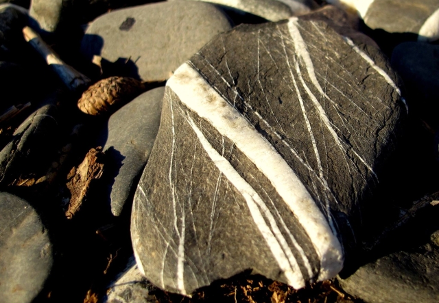 A close up of a black rock streaked with white lines on a shoreline