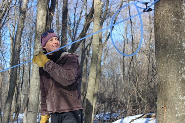 woman inspecting a sap line in the winter woods