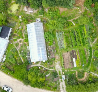 Aerial view of a school community garden featuring two large greenhouses and multiple cultivated plots with various plants.